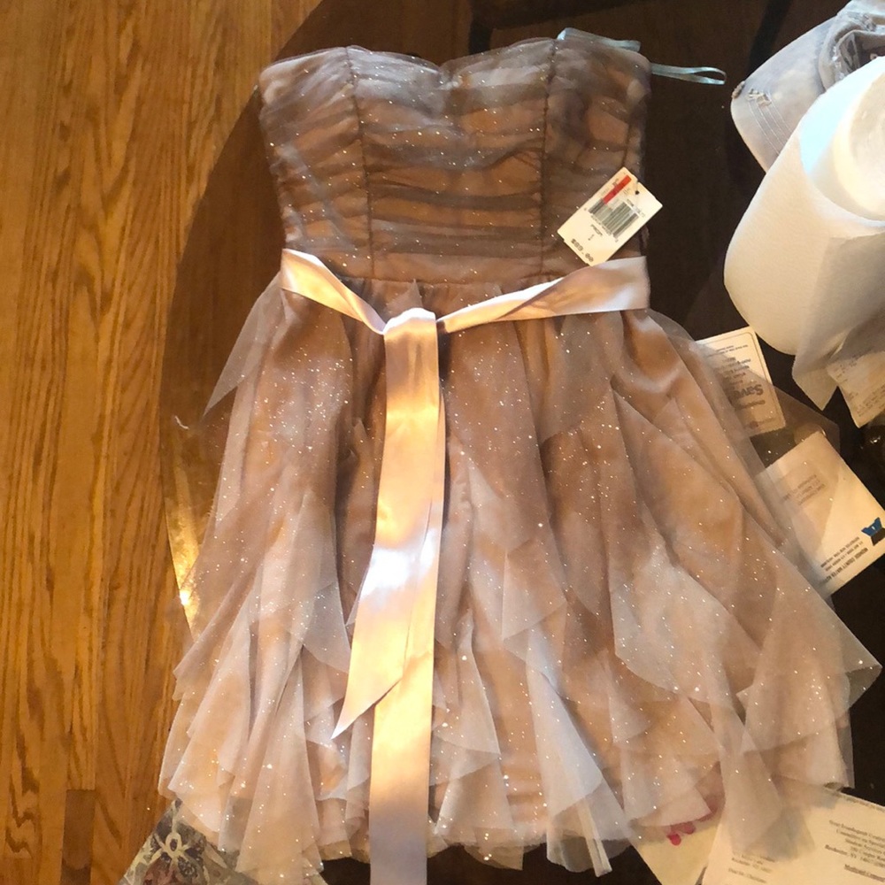 Ombré prom/ cocktail dress